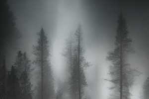 Квест в реальности Чёрно-белые сны от компании Атмосфера