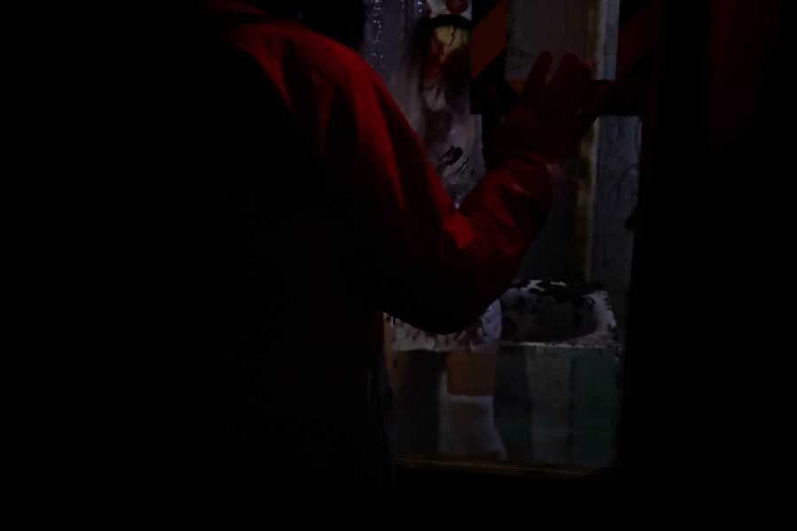 Квест в реальности Шизофрения от компании Дом страха Квест в реальности Шизофрения от компании Дом страха